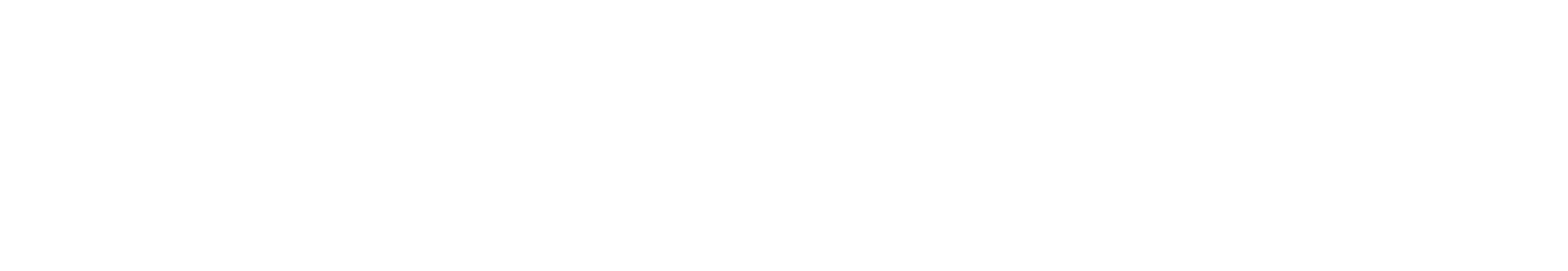 Site Logo – Zordiso – Leading Business Consulting and Innovative Software Solutions